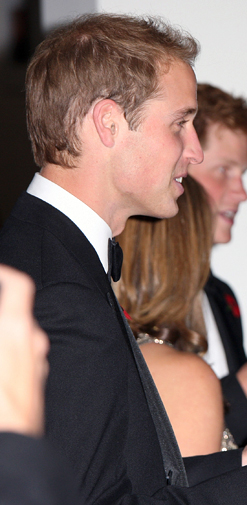 Princes William and Harry at the Quantum of Solace premiere