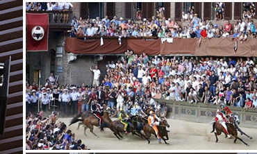 The bi-annual Palio di Siena Horse Race