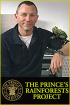 The Prince's Rainforests Project